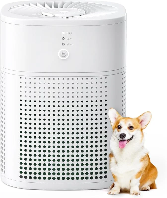 MERONTE Purificatore d'aria per camera da letto con aromaterapia, filtro dell'aria HEPA, un purificatore d'aria che può prevenire polvere, polline, peli di animali domestici e fumo, 24 dB con modalità — Umidificatore